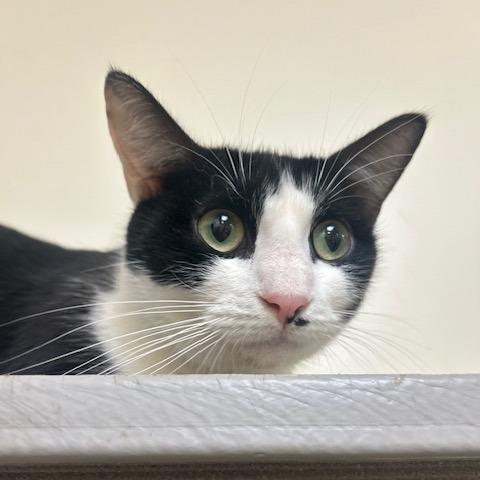 Charlotte — thumbnail 2