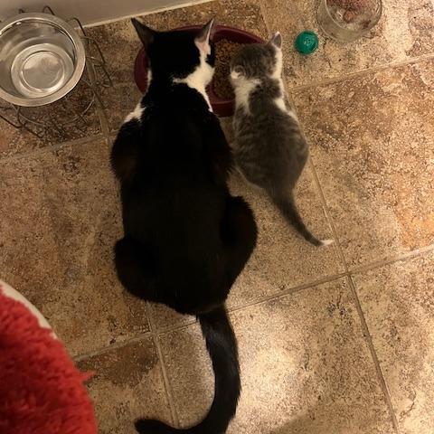 Charlotte — thumbnail 3