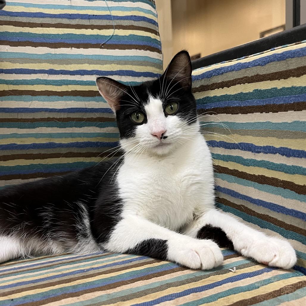 Charlotte — thumbnail 5