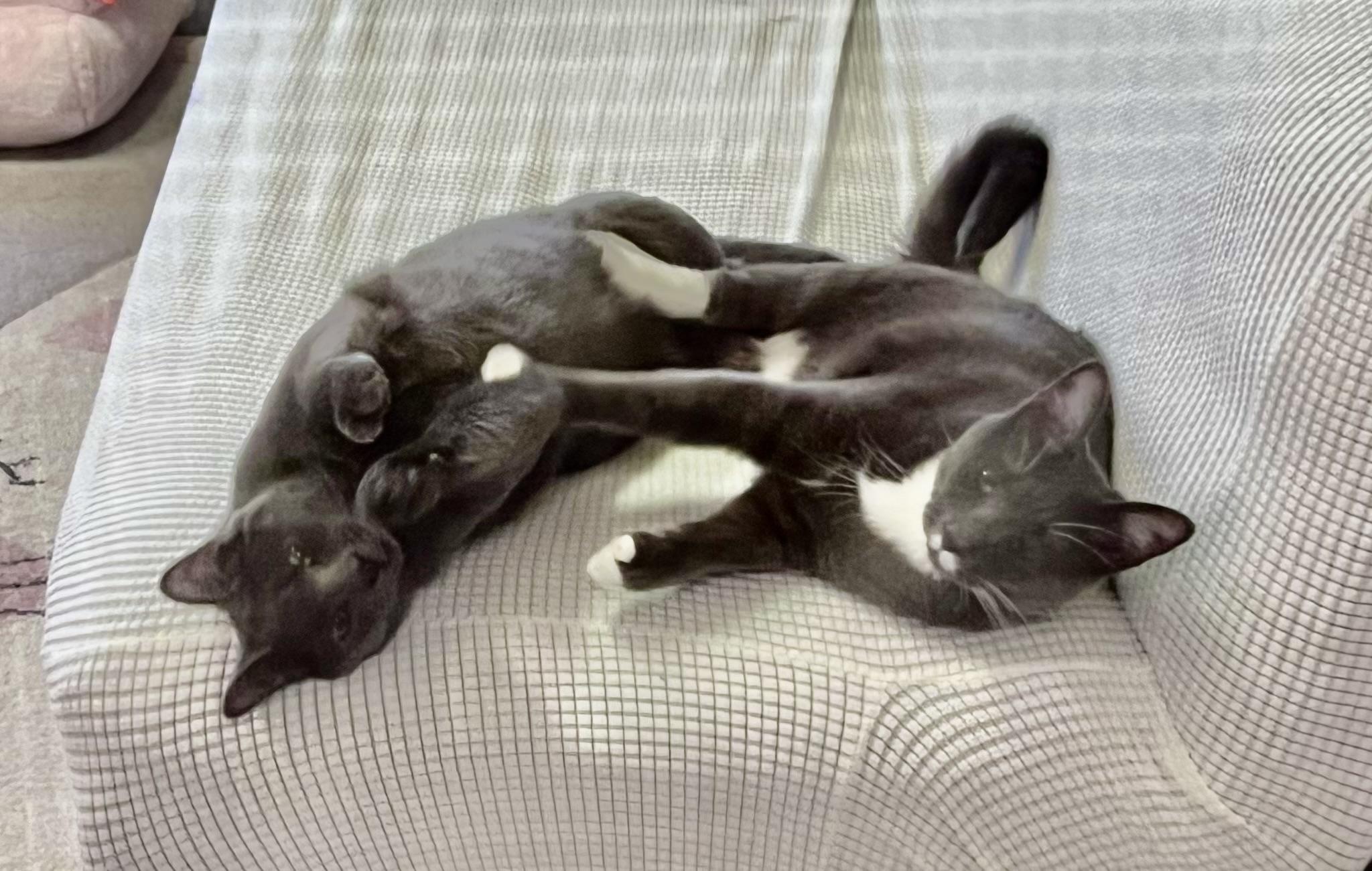 Billy and Leigh (Billey)