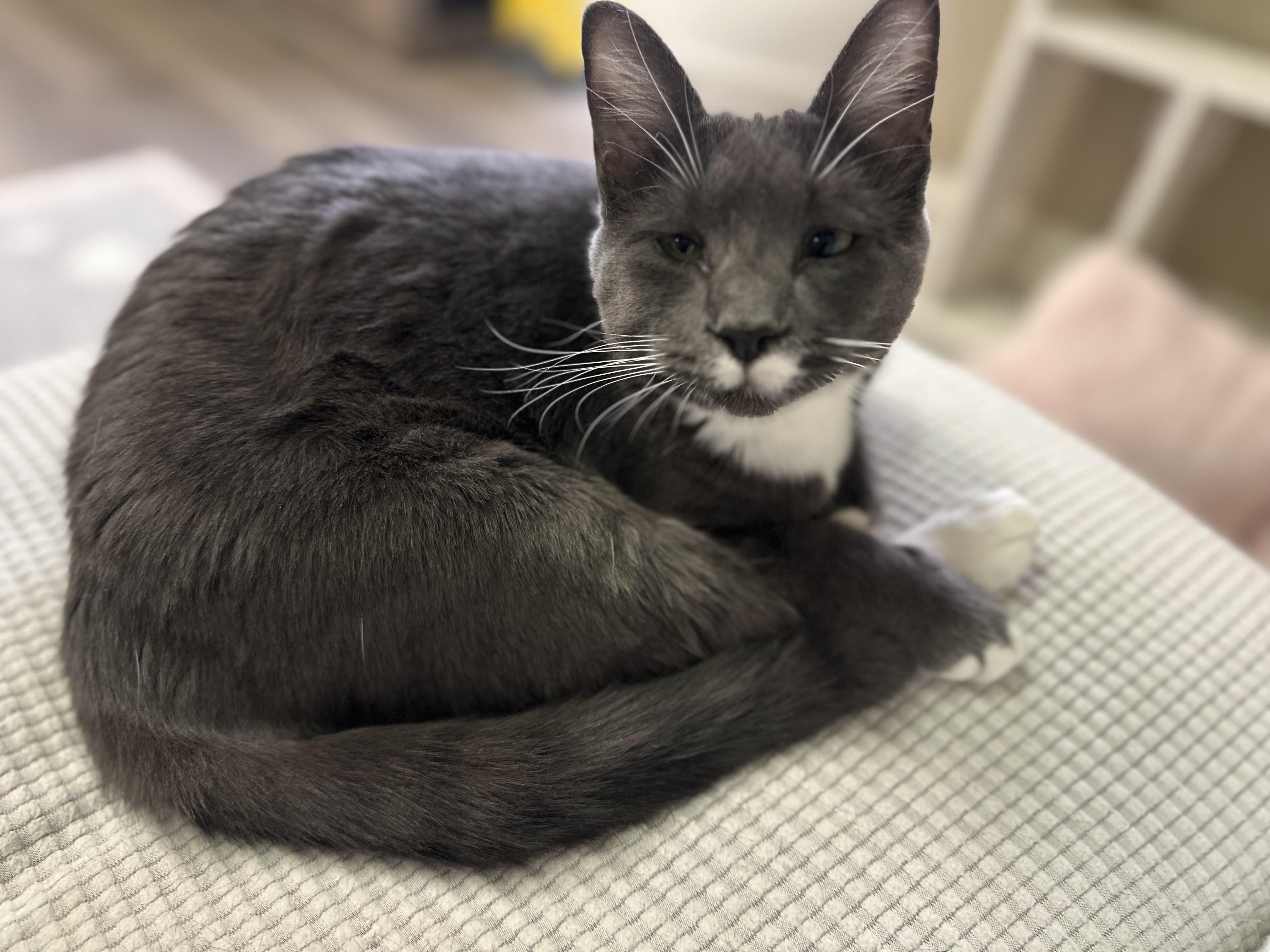 Billy and Leigh (Billey)