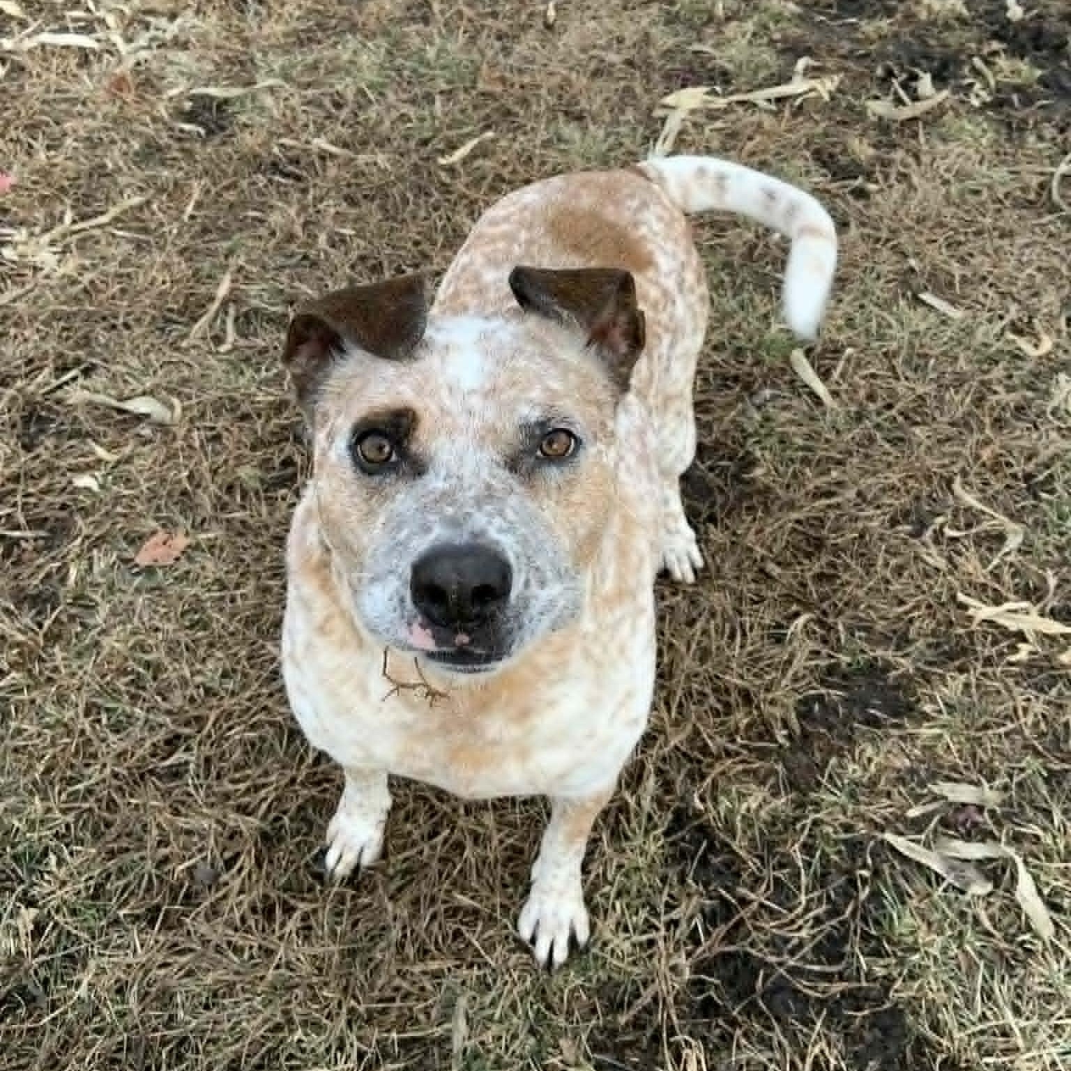 Jefferson — thumbnail 2