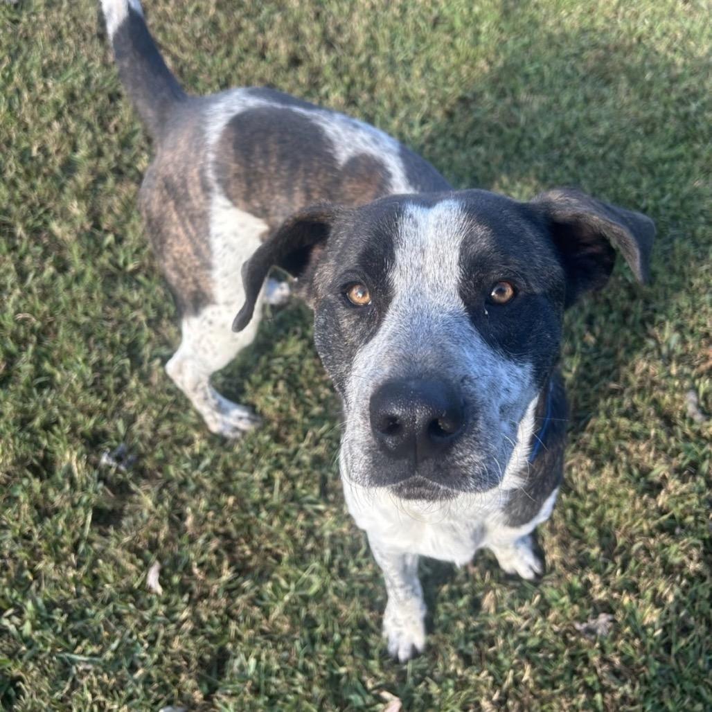 Marco — thumbnail 2