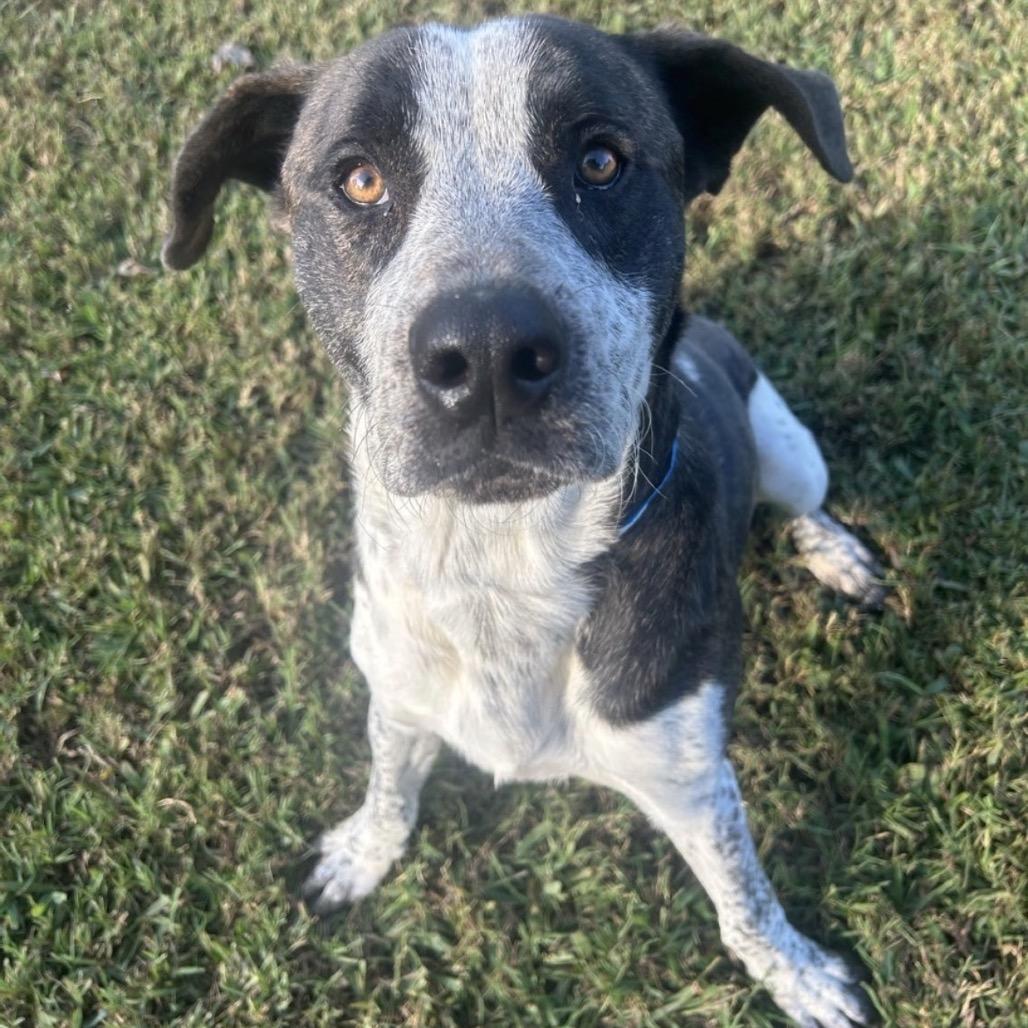 Marco — thumbnail 3