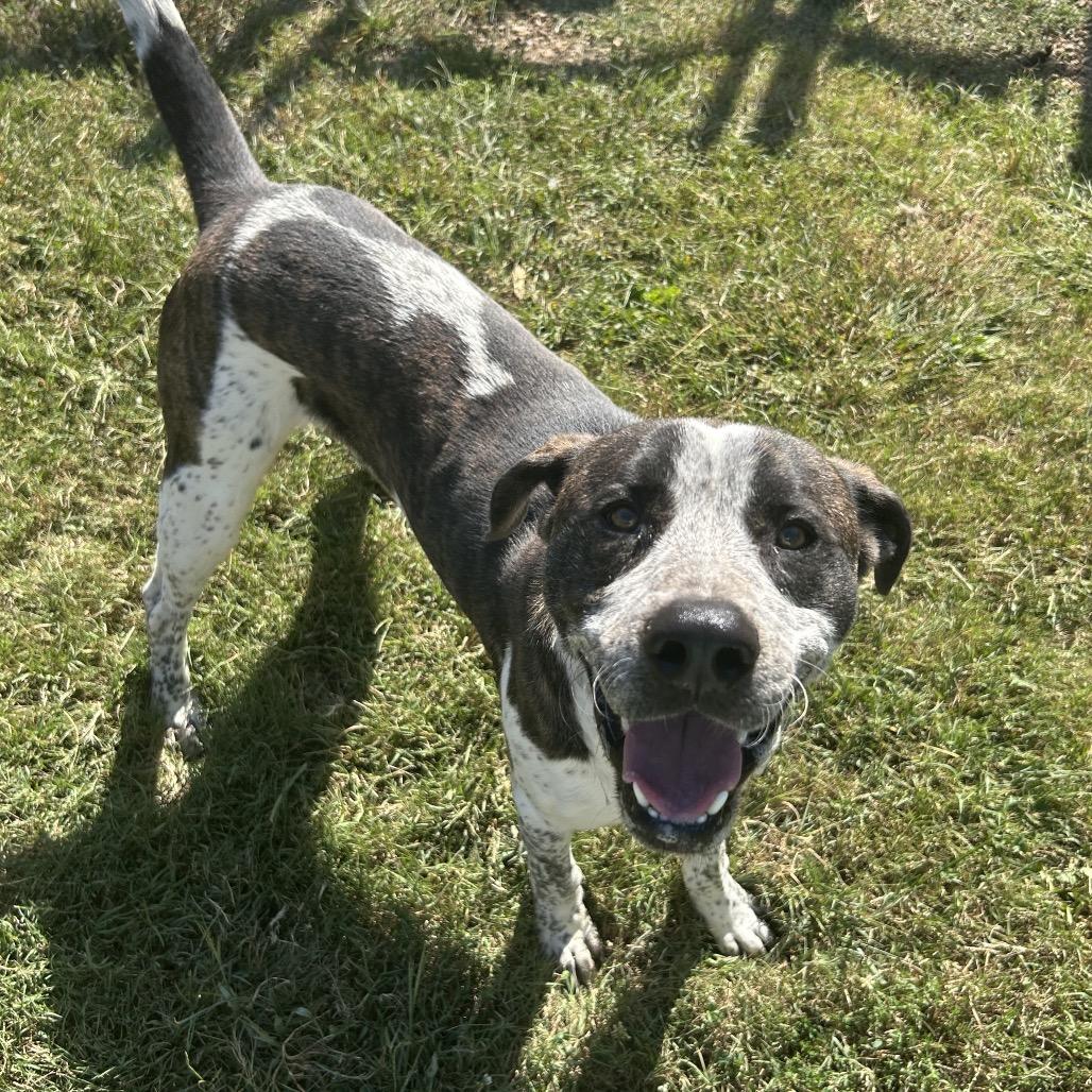 Marco — thumbnail 4