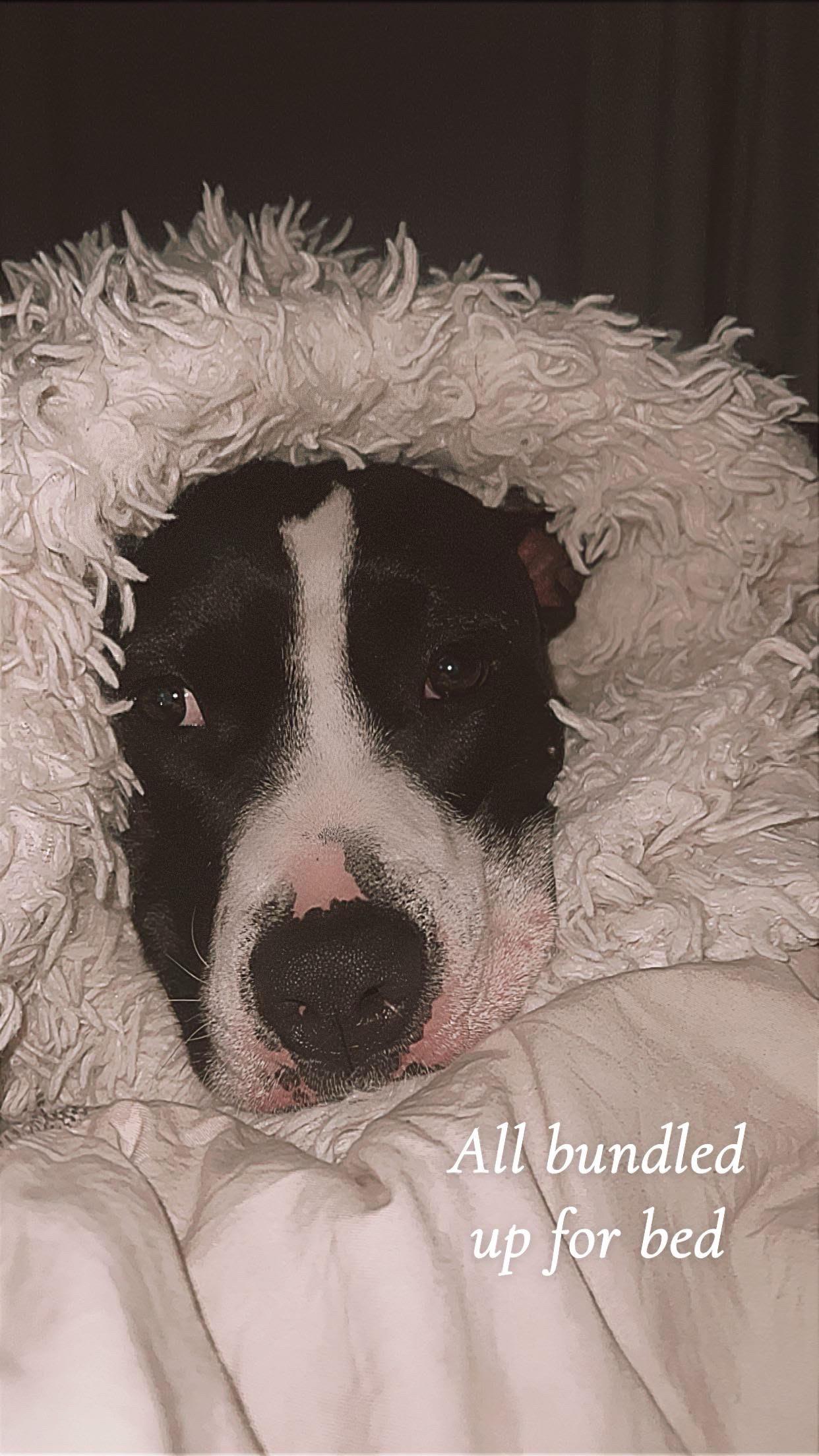 LOKI 3