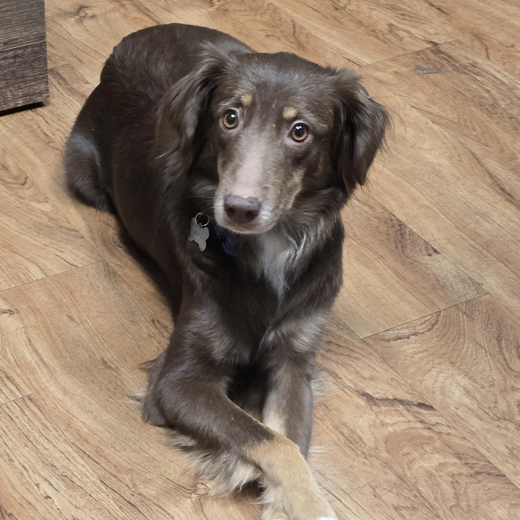 Noel — thumbnail 2