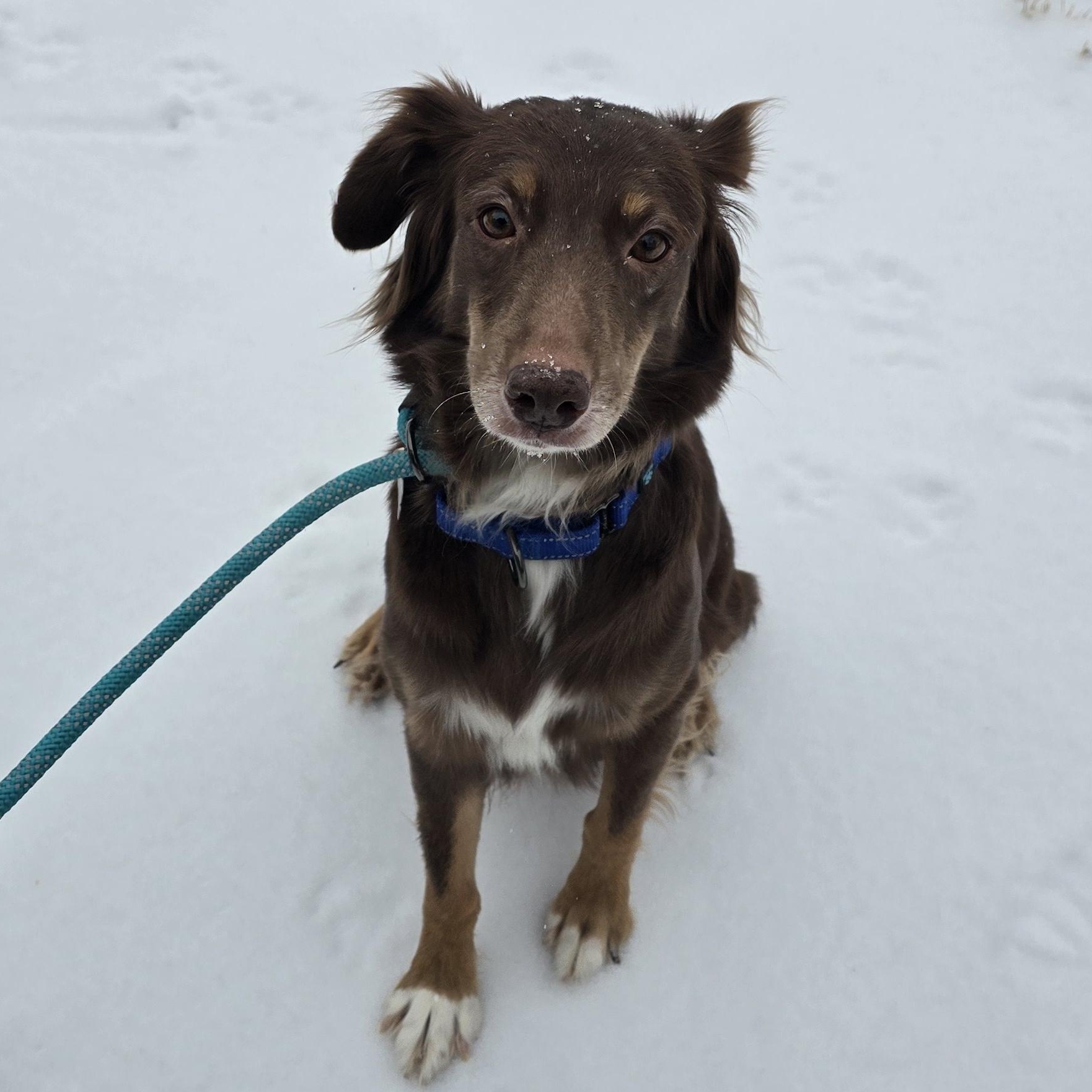 Noel — thumbnail 4