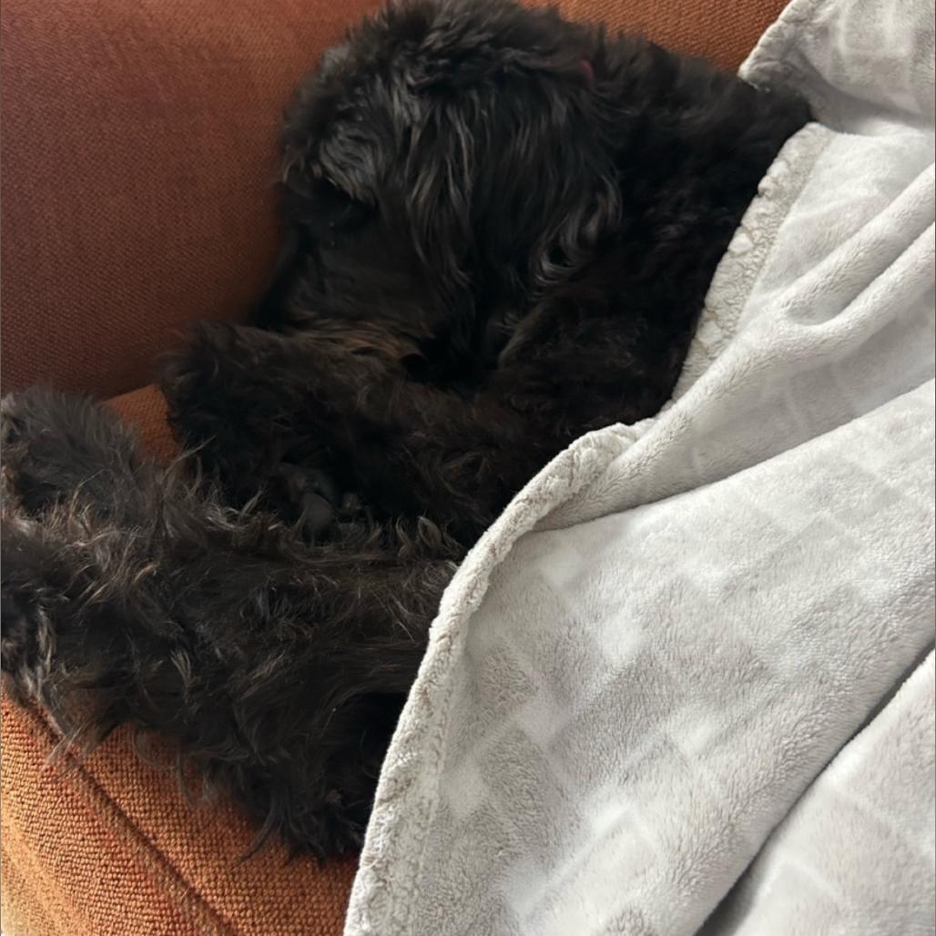 Mae Fka Tracey thumbnail 2