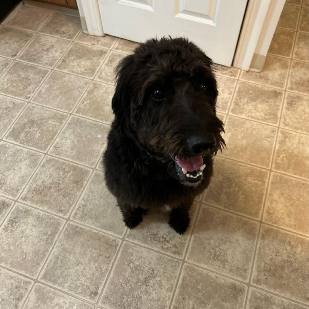 Mae Fka Tracey thumbnail 5