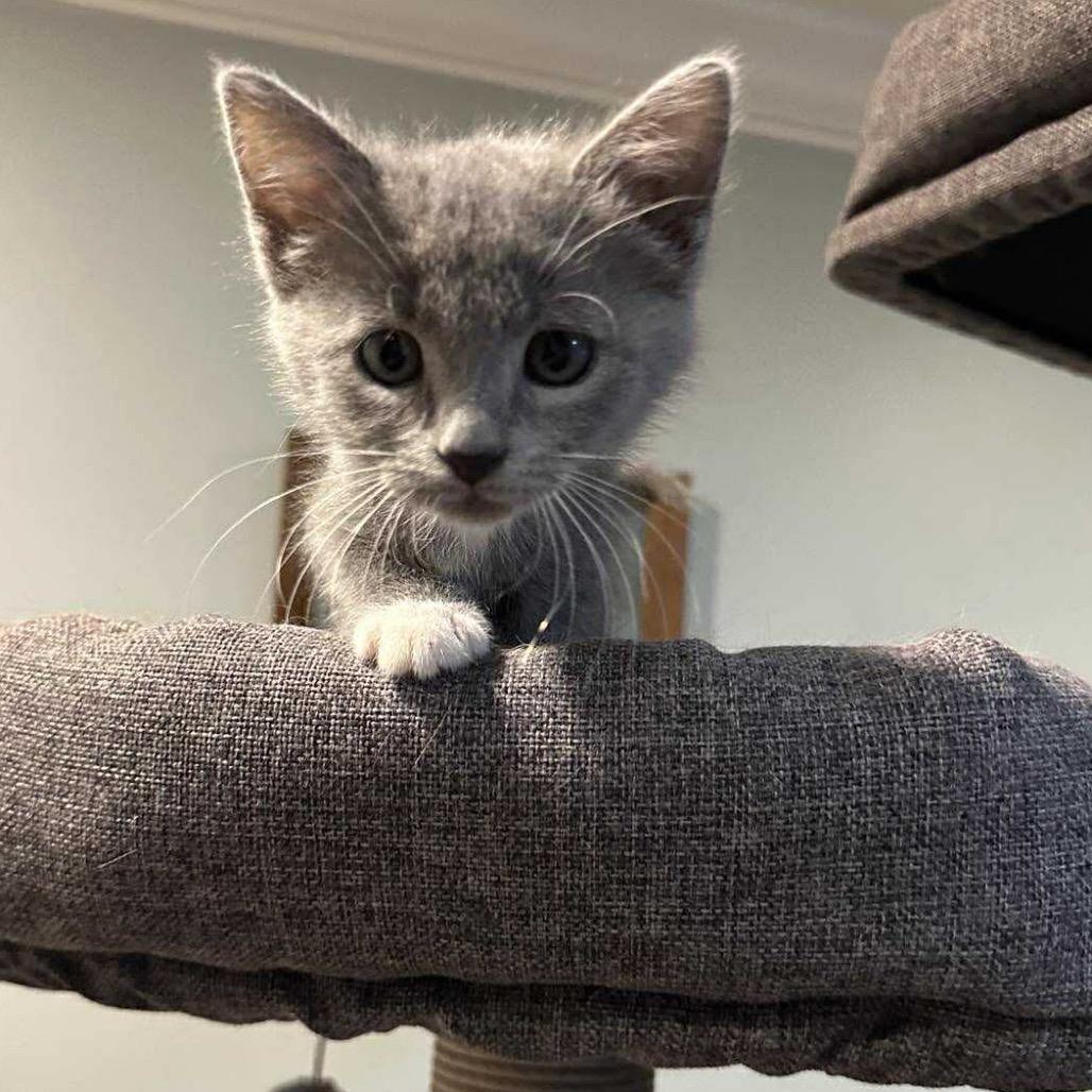 Hurricane thumbnail 2