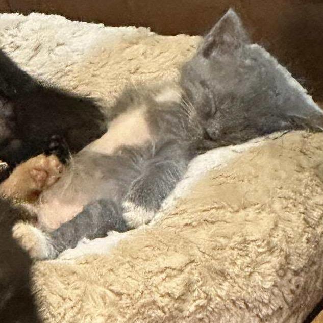 Hurricane thumbnail 3