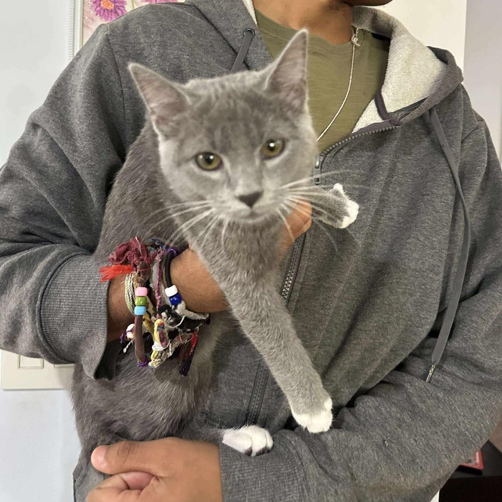 Hurricane thumbnail 5