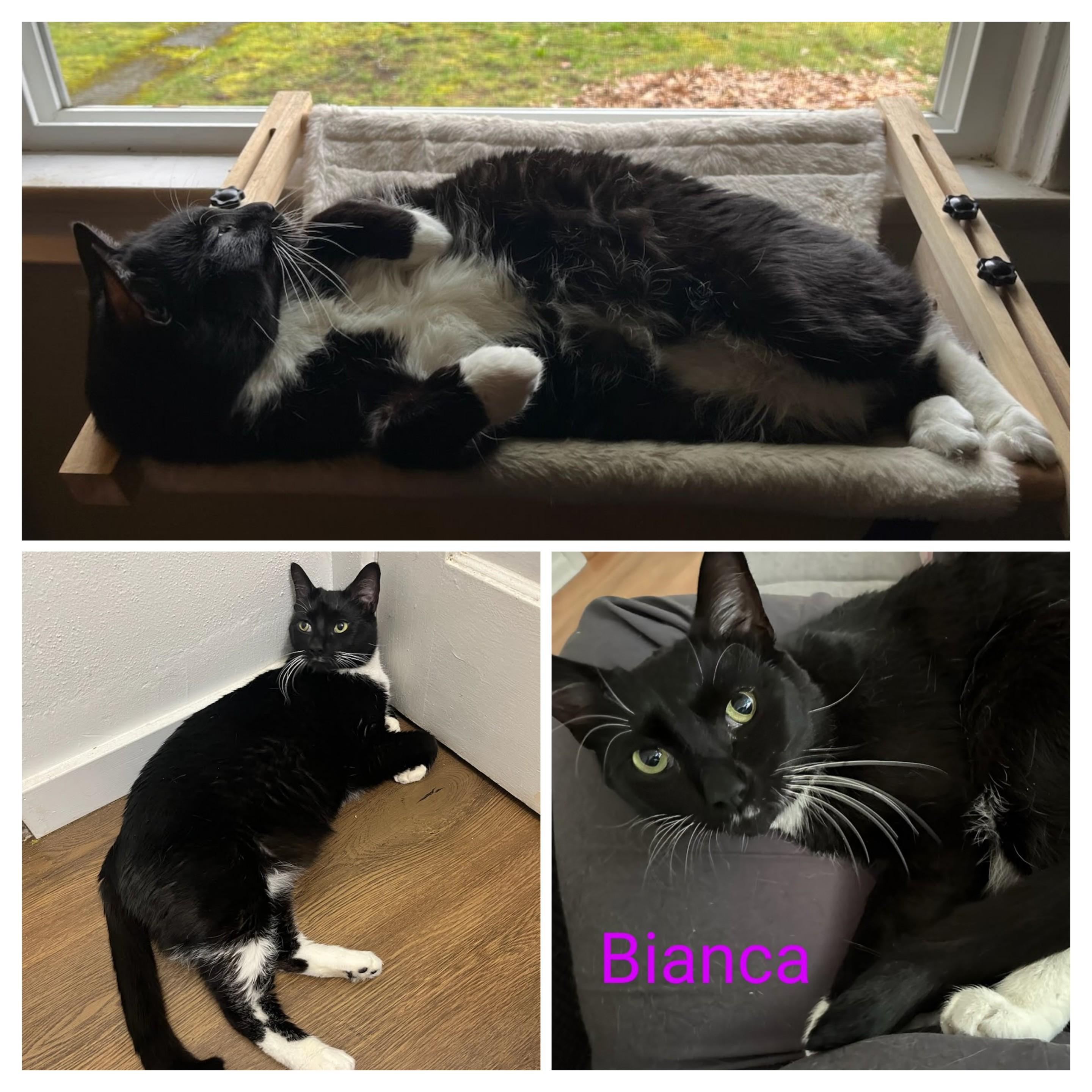 Bianca