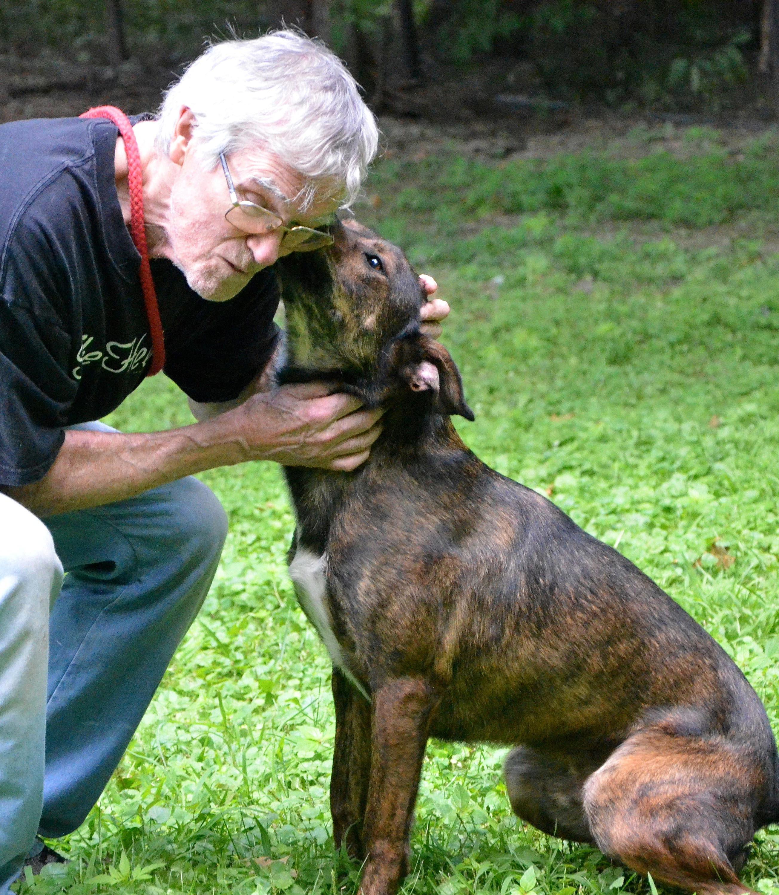 Enlarge Doobie, a Adoptable mixed breed in Columbus, WI image 7/11