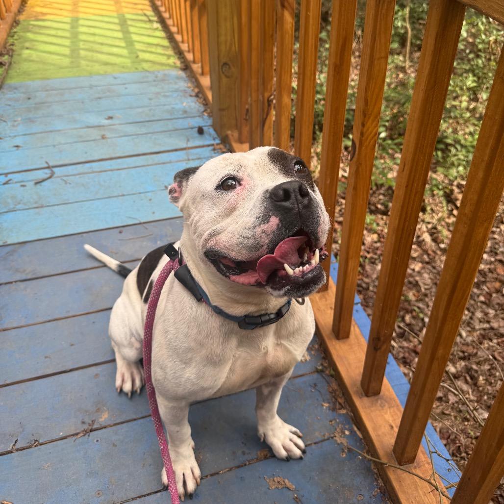 Arrow 5706 — thumbnail 5