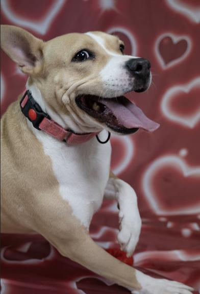 Maggie — thumbnail 3