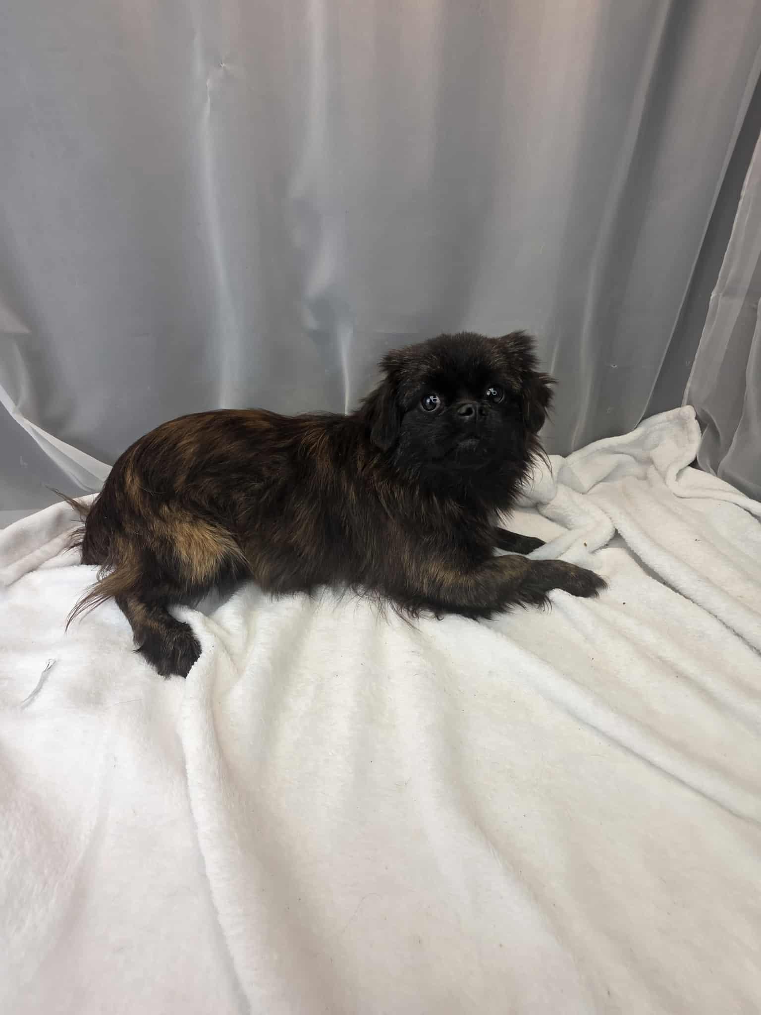 Frederick thumbnail 6