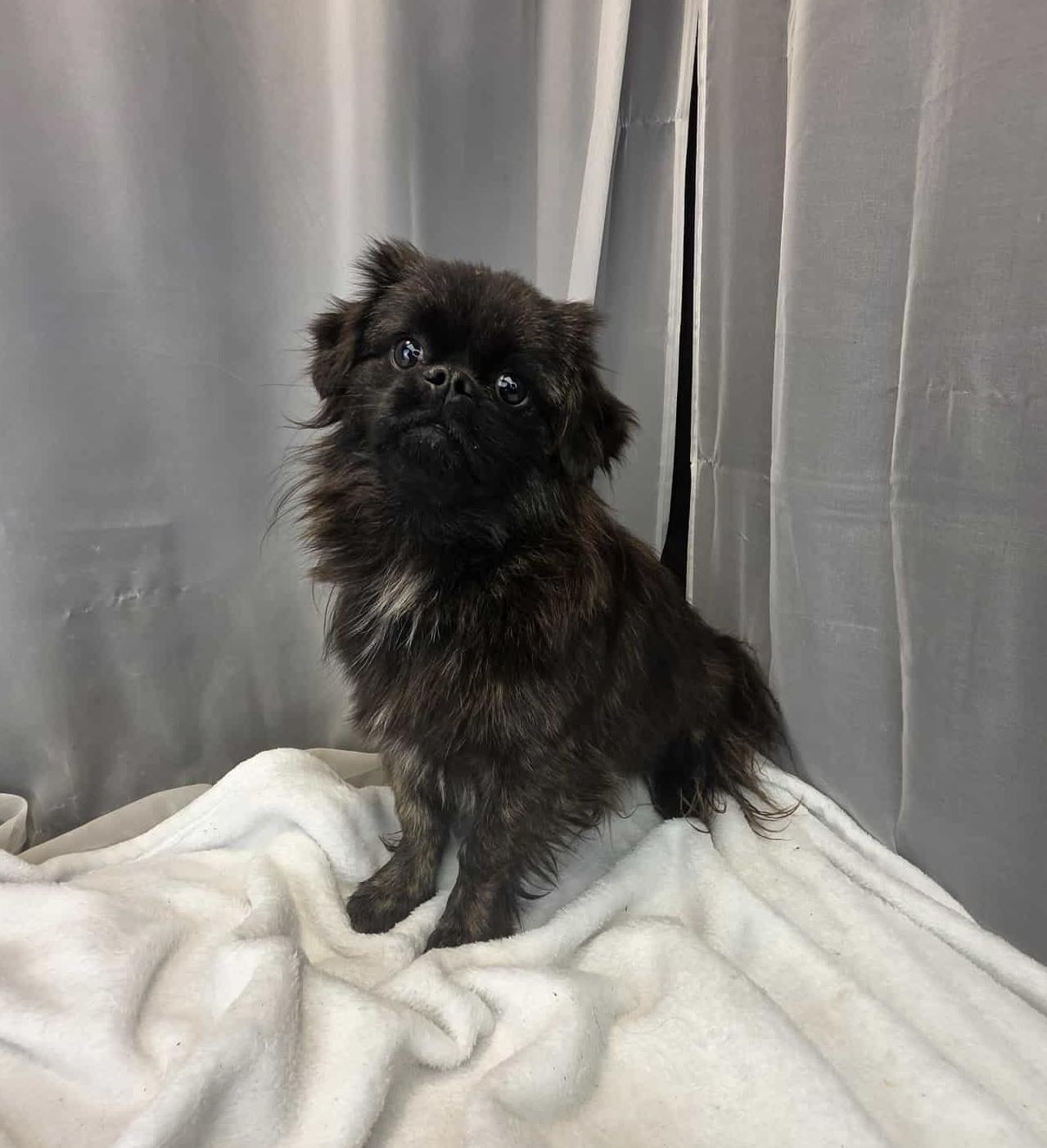 Frederick thumbnail 2