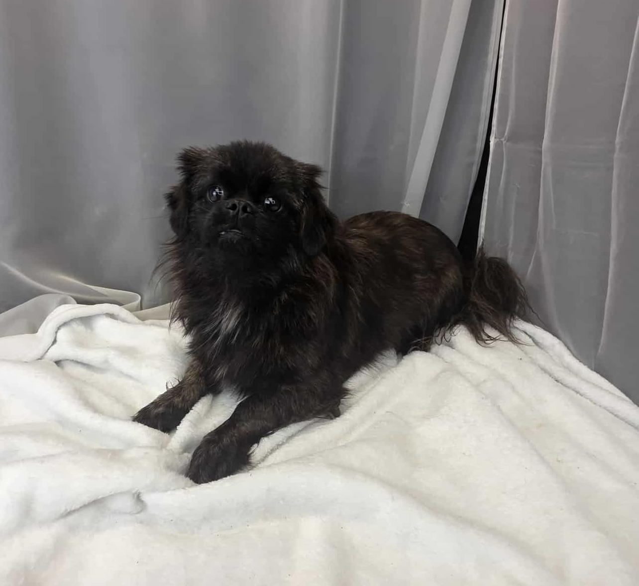 Frederick thumbnail 4