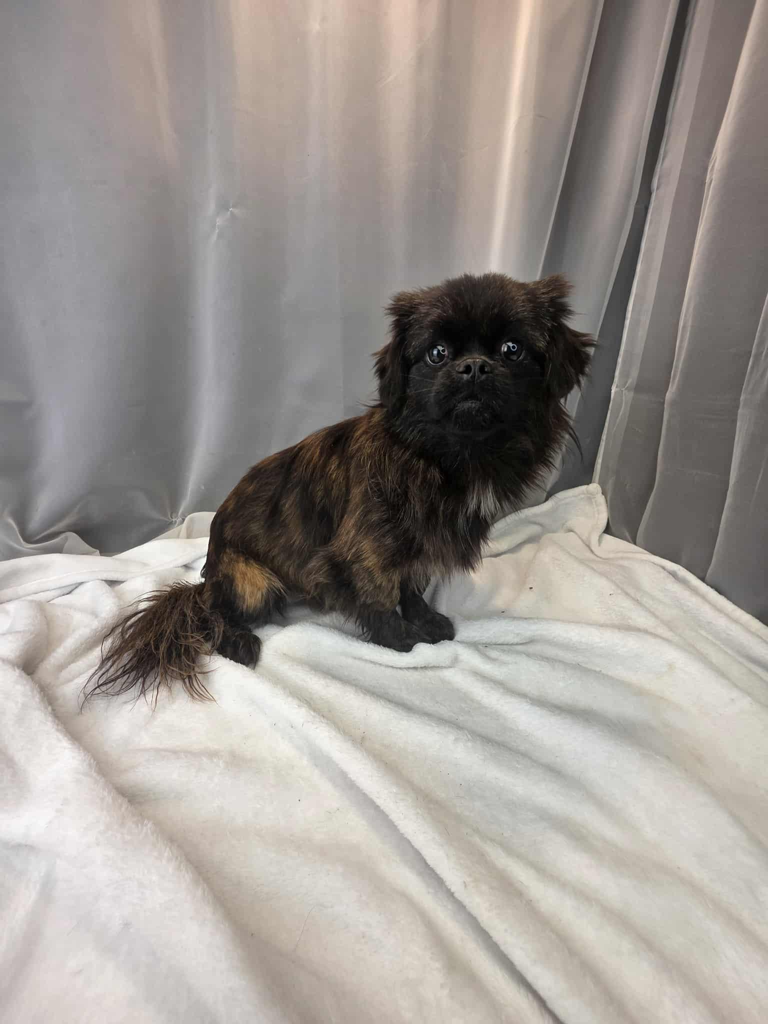 Frederick thumbnail 5