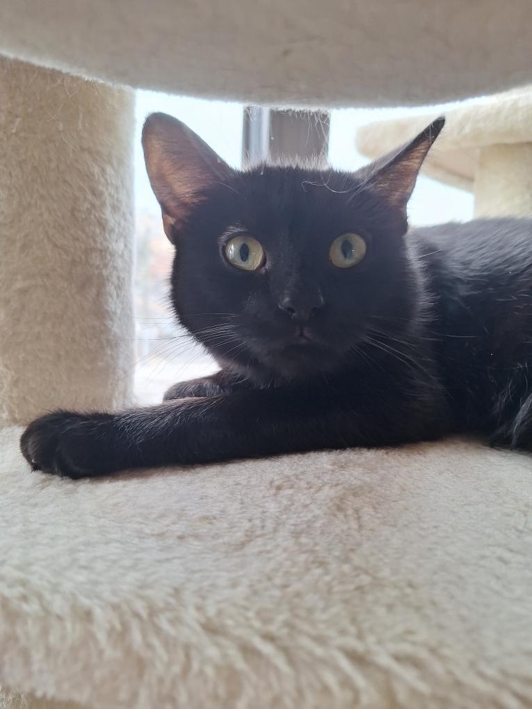 Rhonda — thumbnail 3