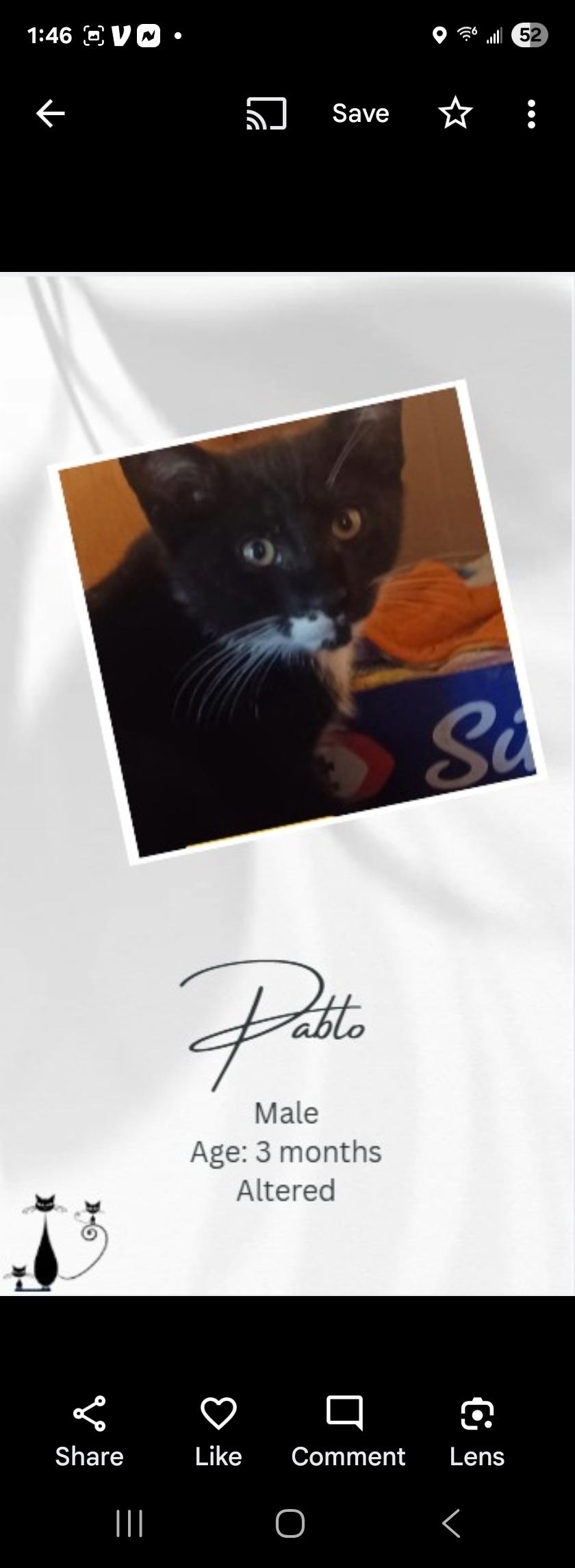 Pablo and mini