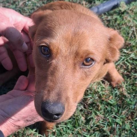 Vanna — thumbnail 2