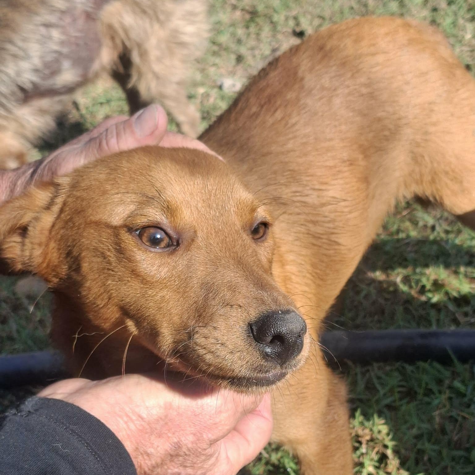 Vanna — thumbnail 3