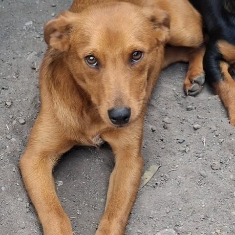 Vanna — thumbnail 5