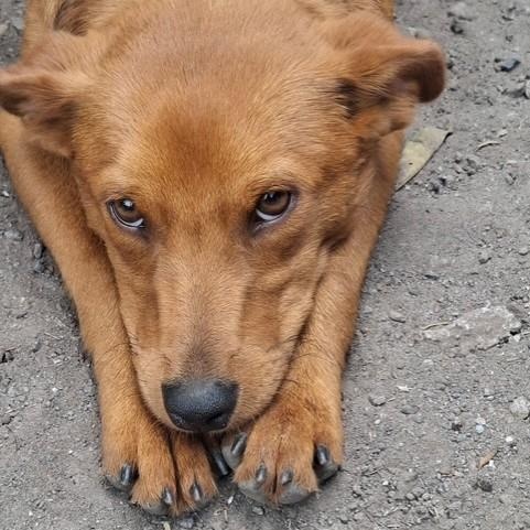 Vanna — thumbnail 6