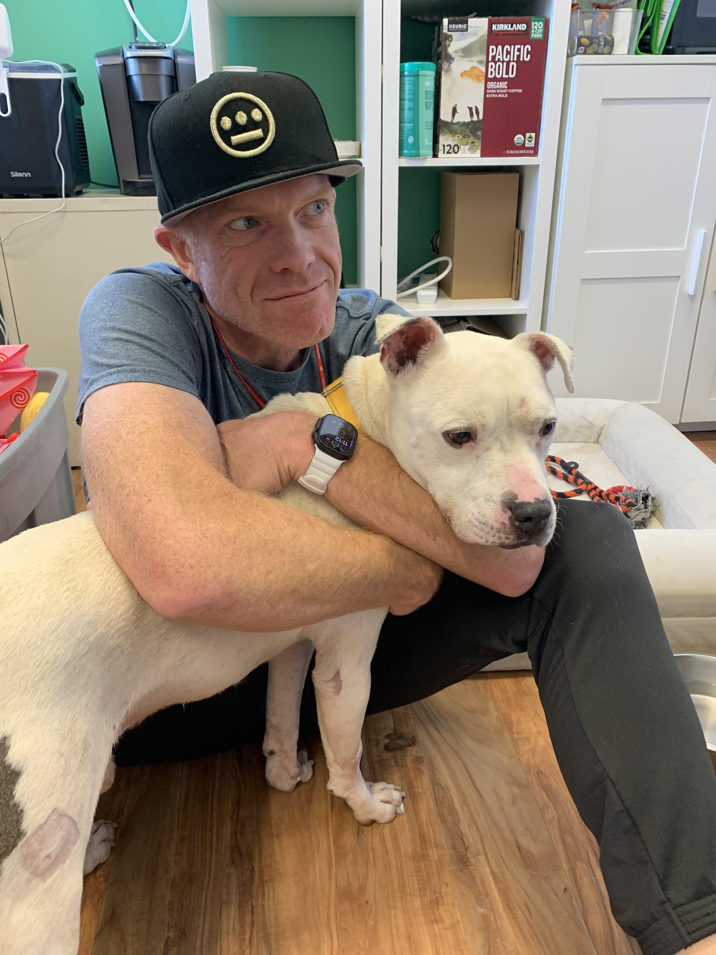 Enlarge Winter, a ADOPTABLE mixed breed in Grass Valley, CA image 5/6