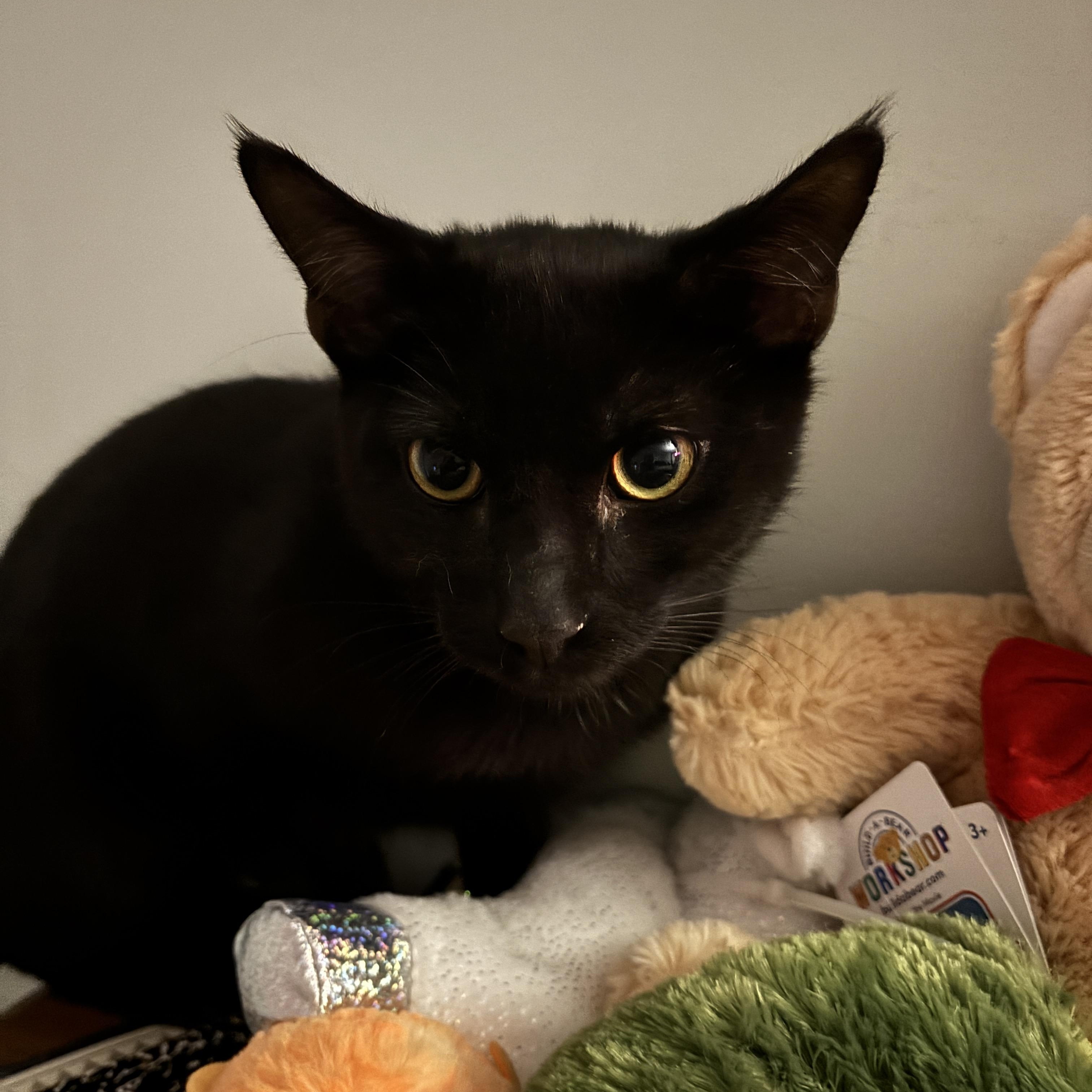 Billings thumbnail 2