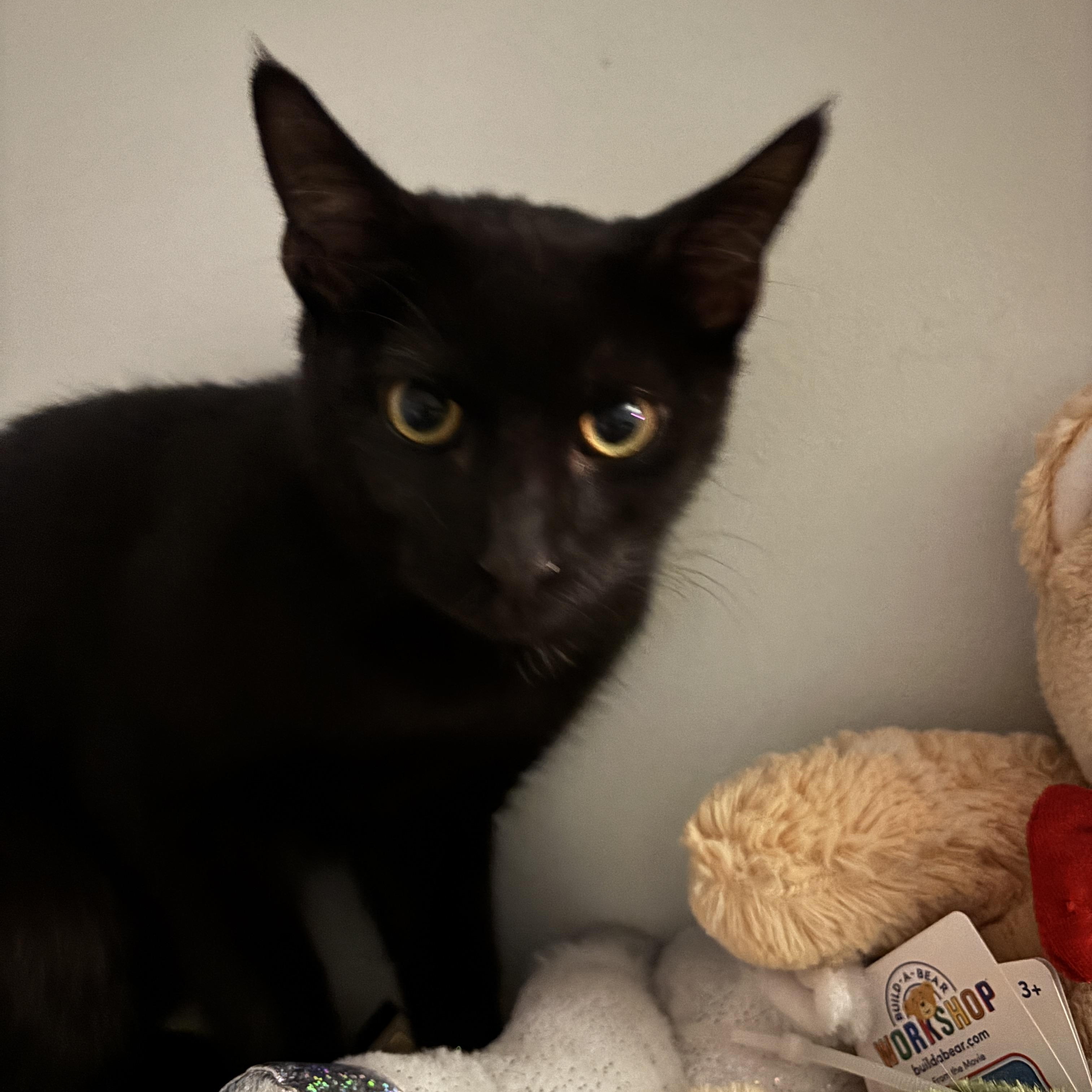 Billings thumbnail 3