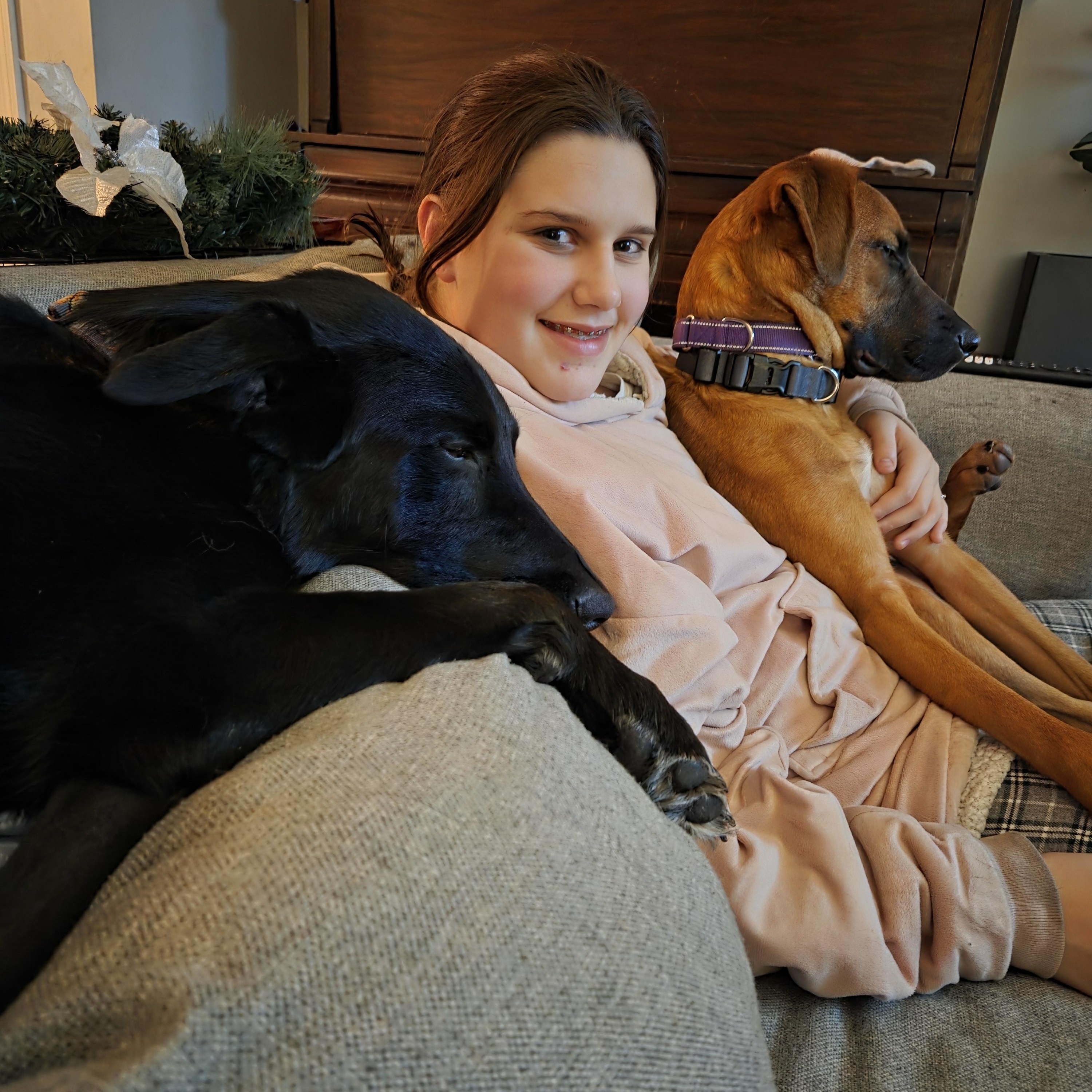 Harry and Rip — thumbnail 2