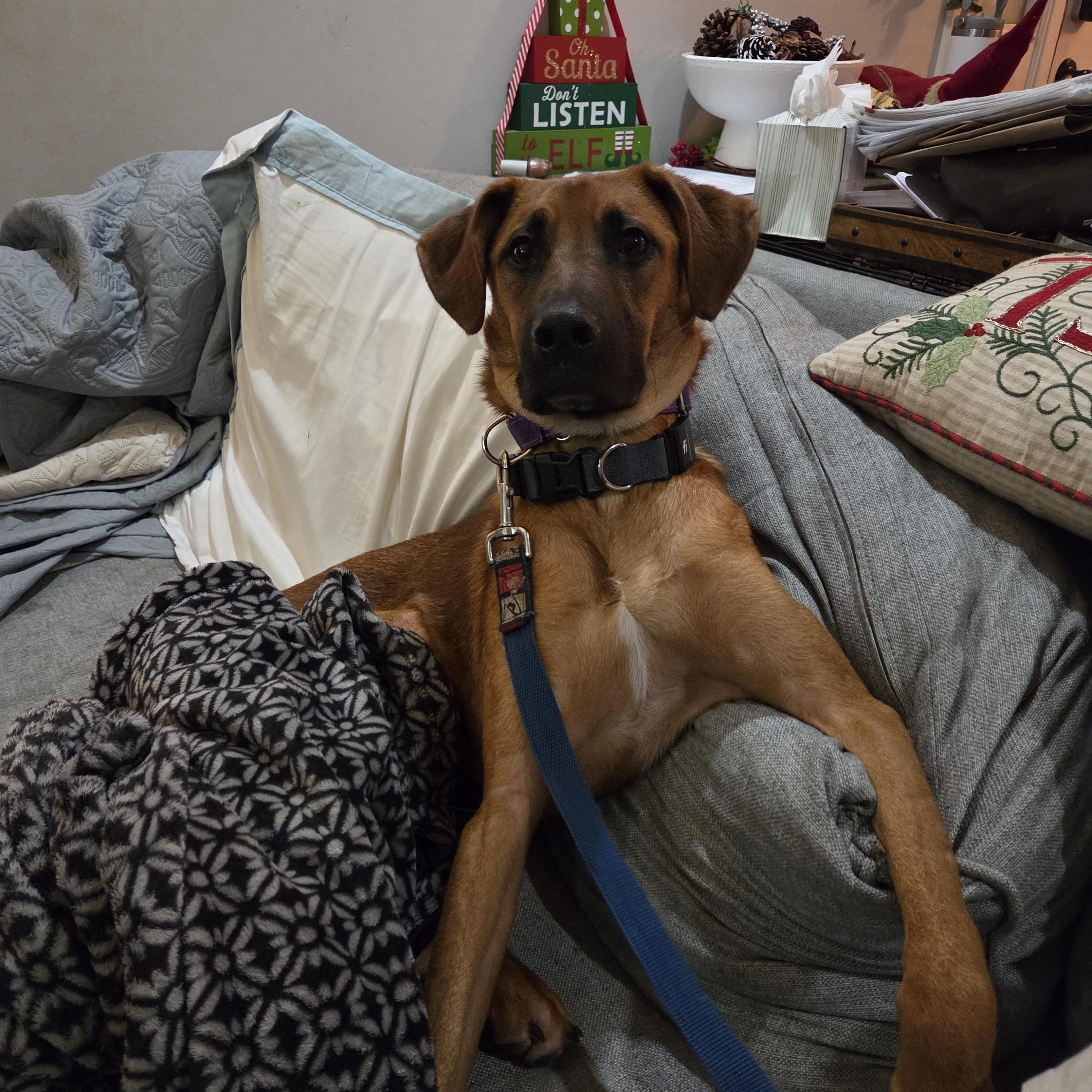 Harry and Rip — thumbnail 5