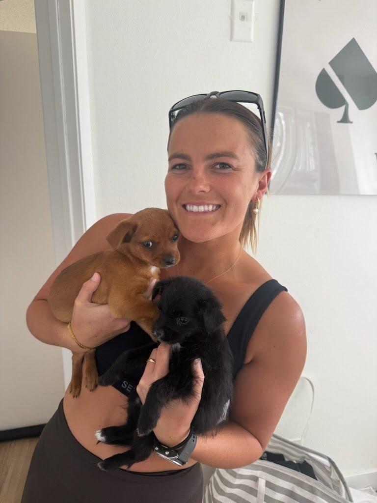 Enlarge Grace Kelly, a ADOPTABLE mixed breed in West Hollywood, CA image 2/3