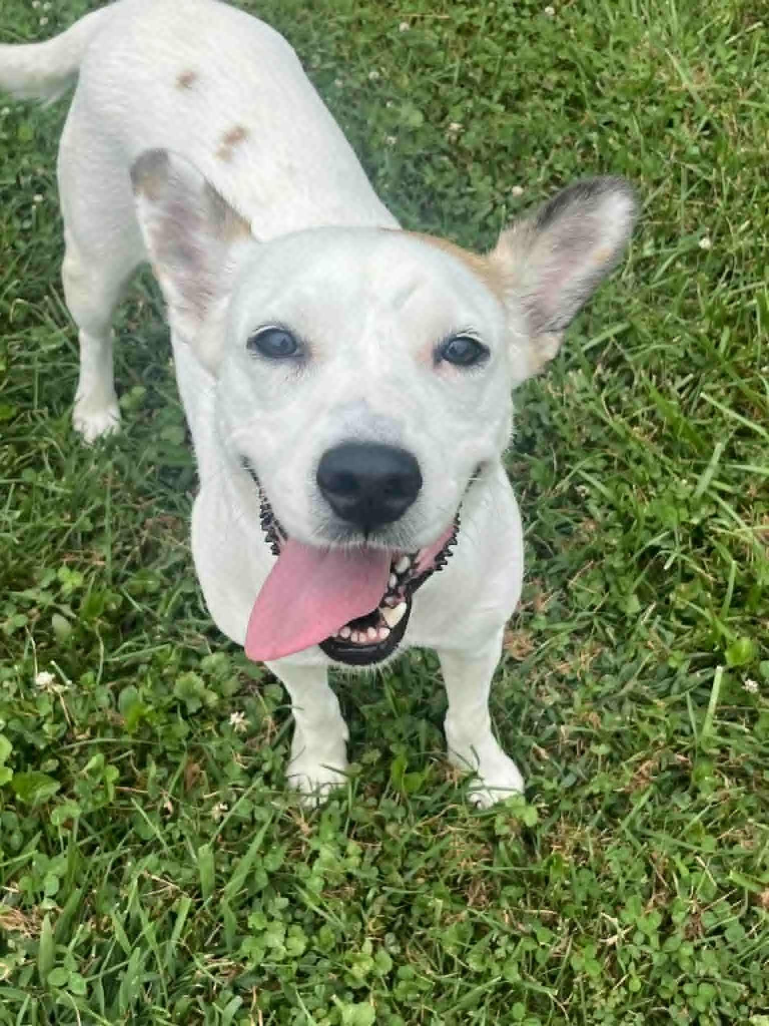 Stifflers Mom thumbnail 3