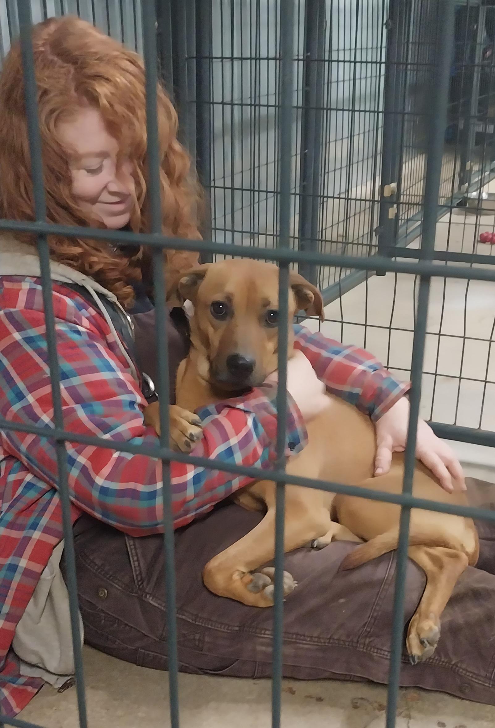 Enlarge ISAAC, an adoptable Mixed Breed in Louisville, OH image 3/4