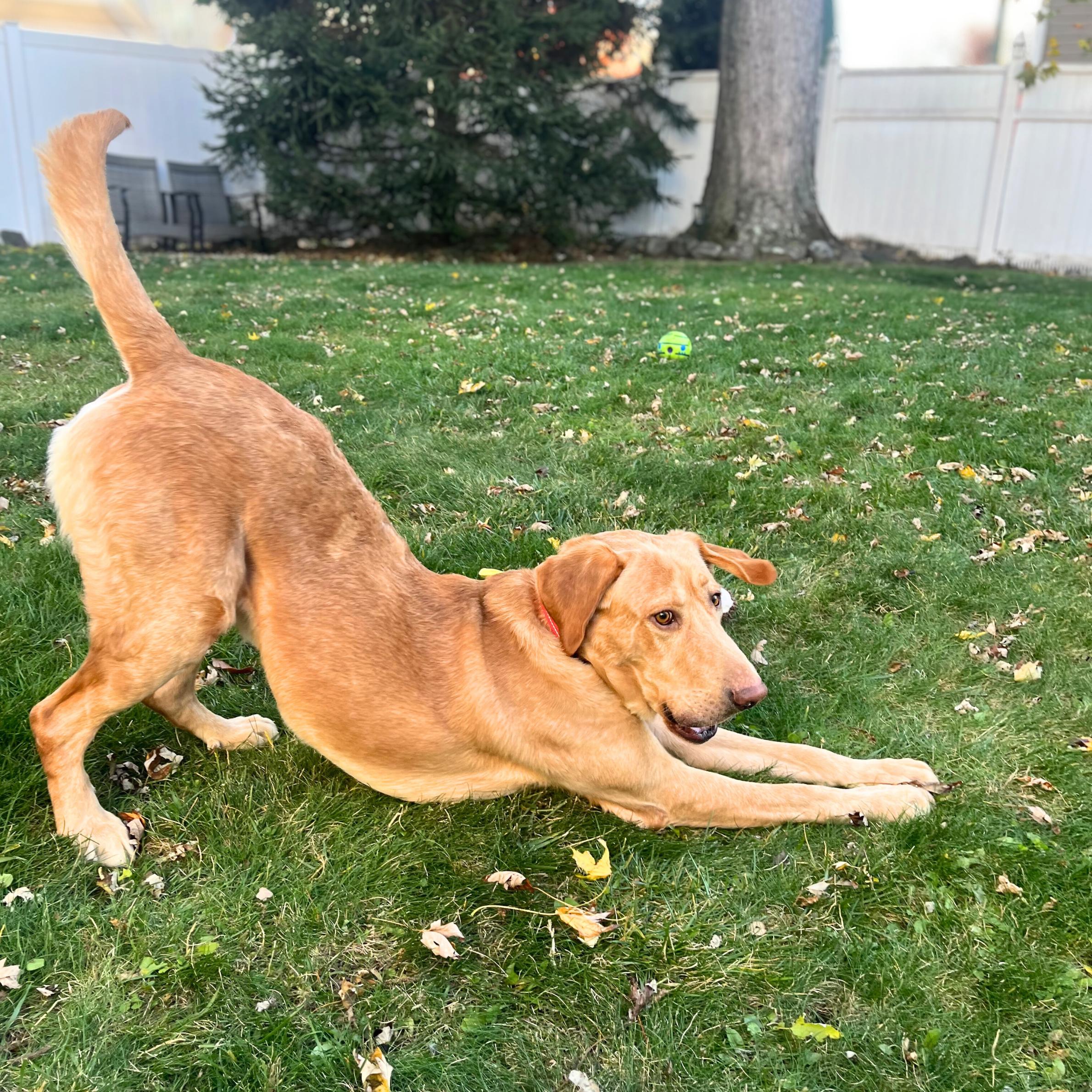 Sherpa Throw thumbnail 5