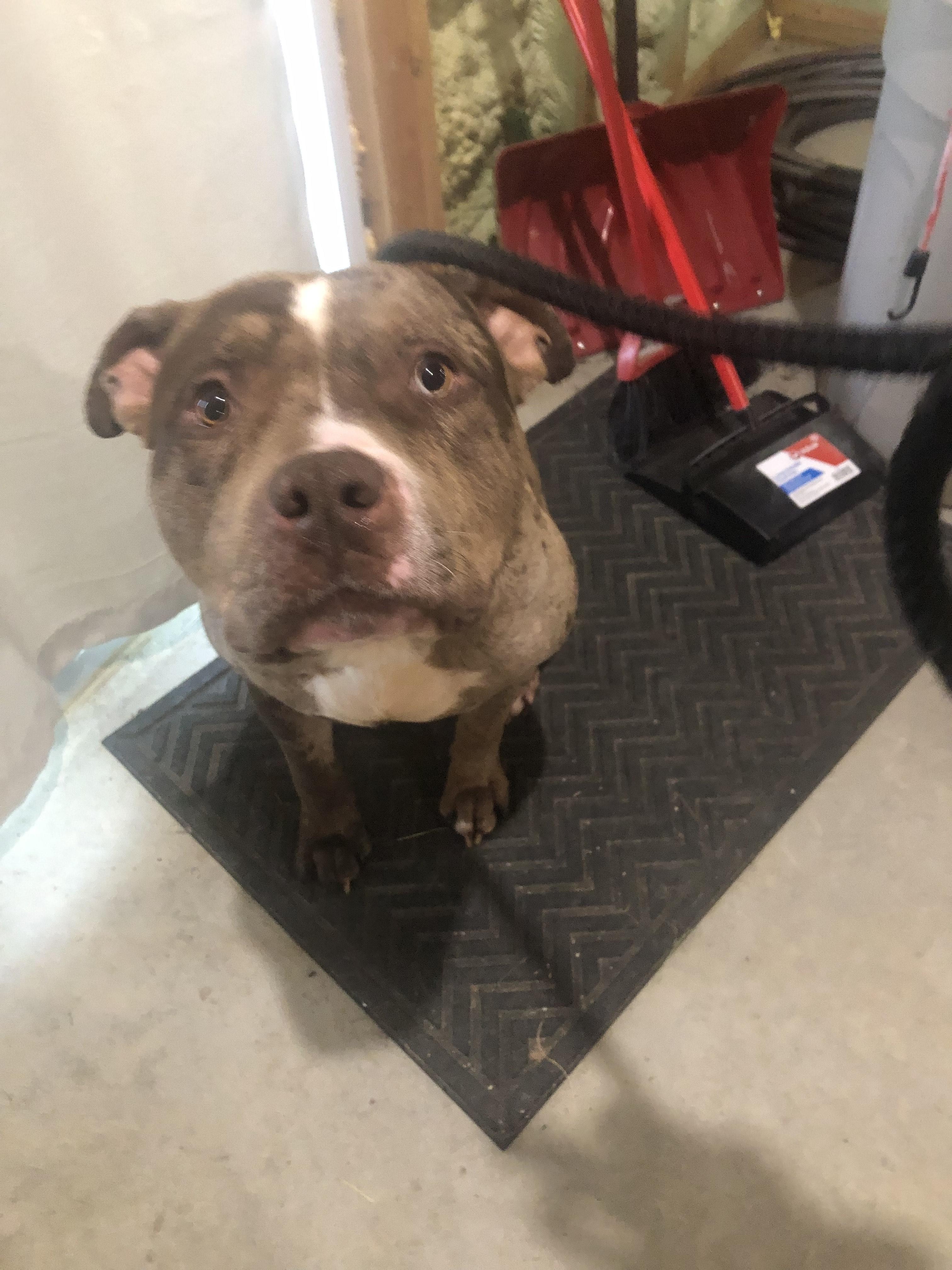 MAX