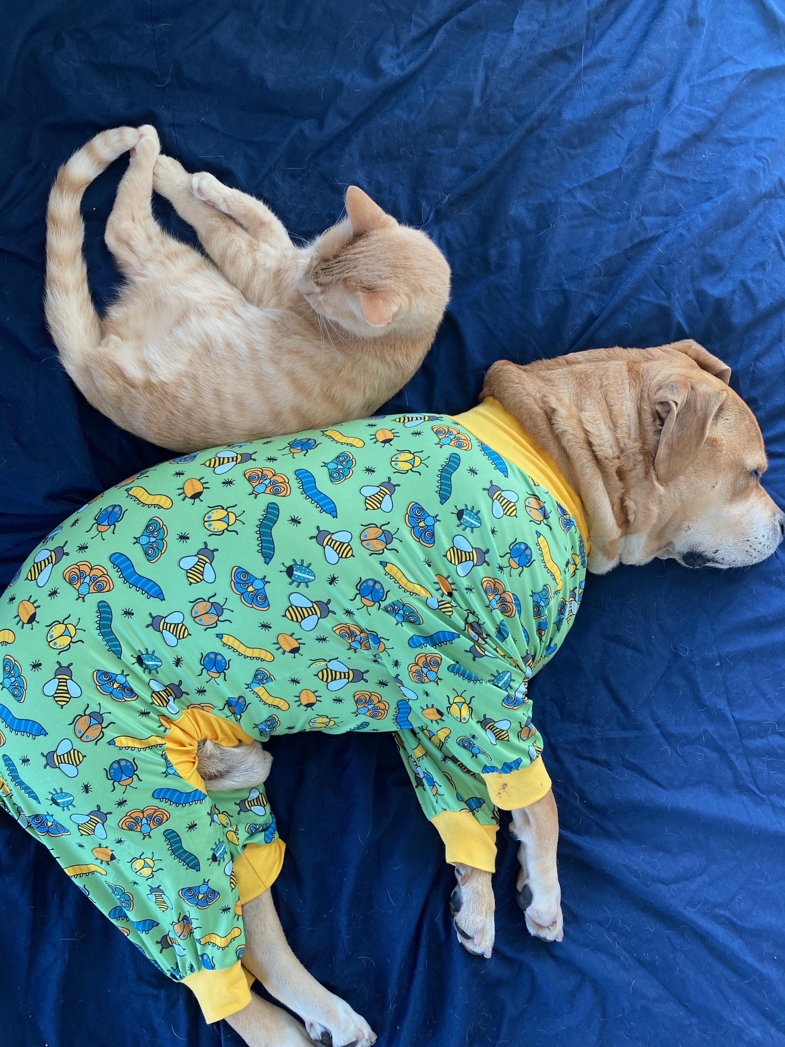 Colt (courtesy listing)