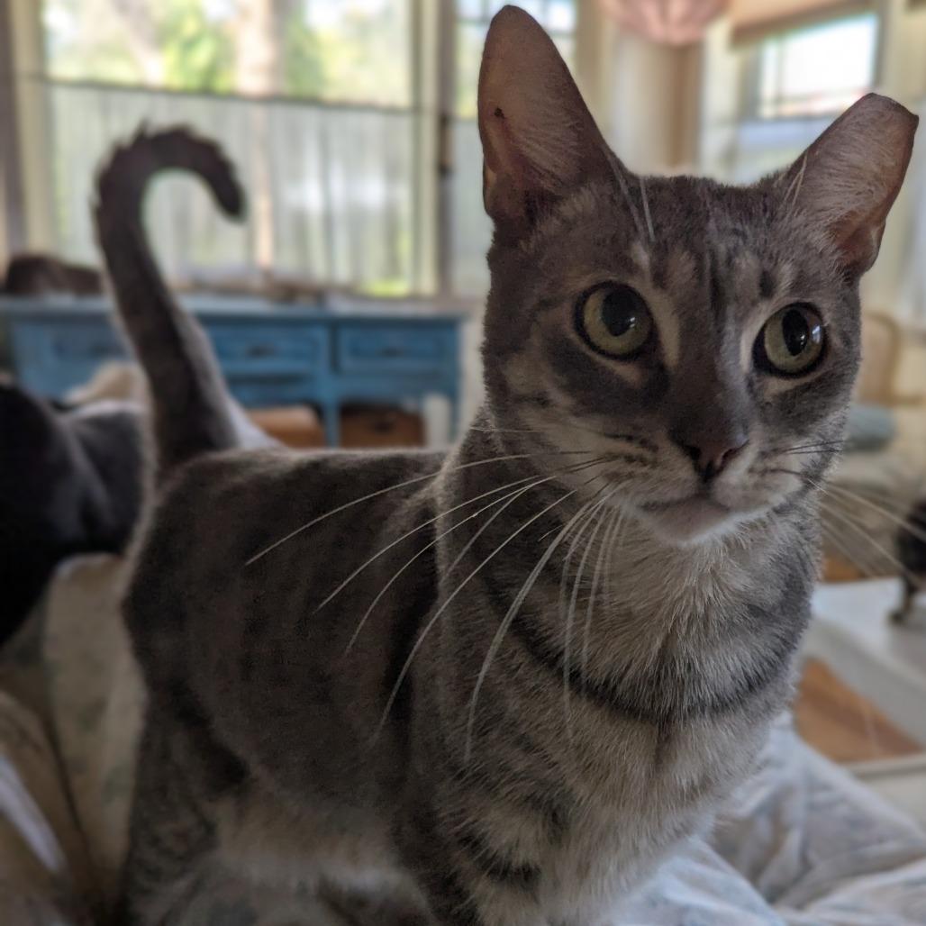 Holly — thumbnail 2