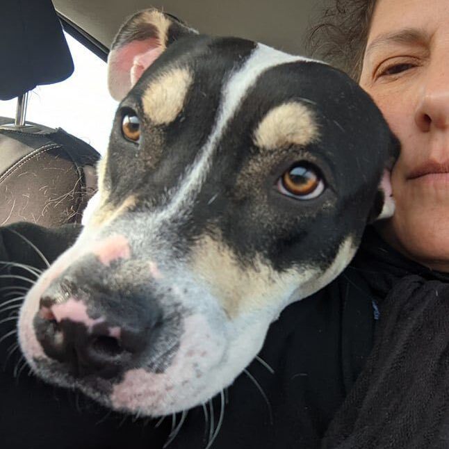 Widget — thumbnail 3