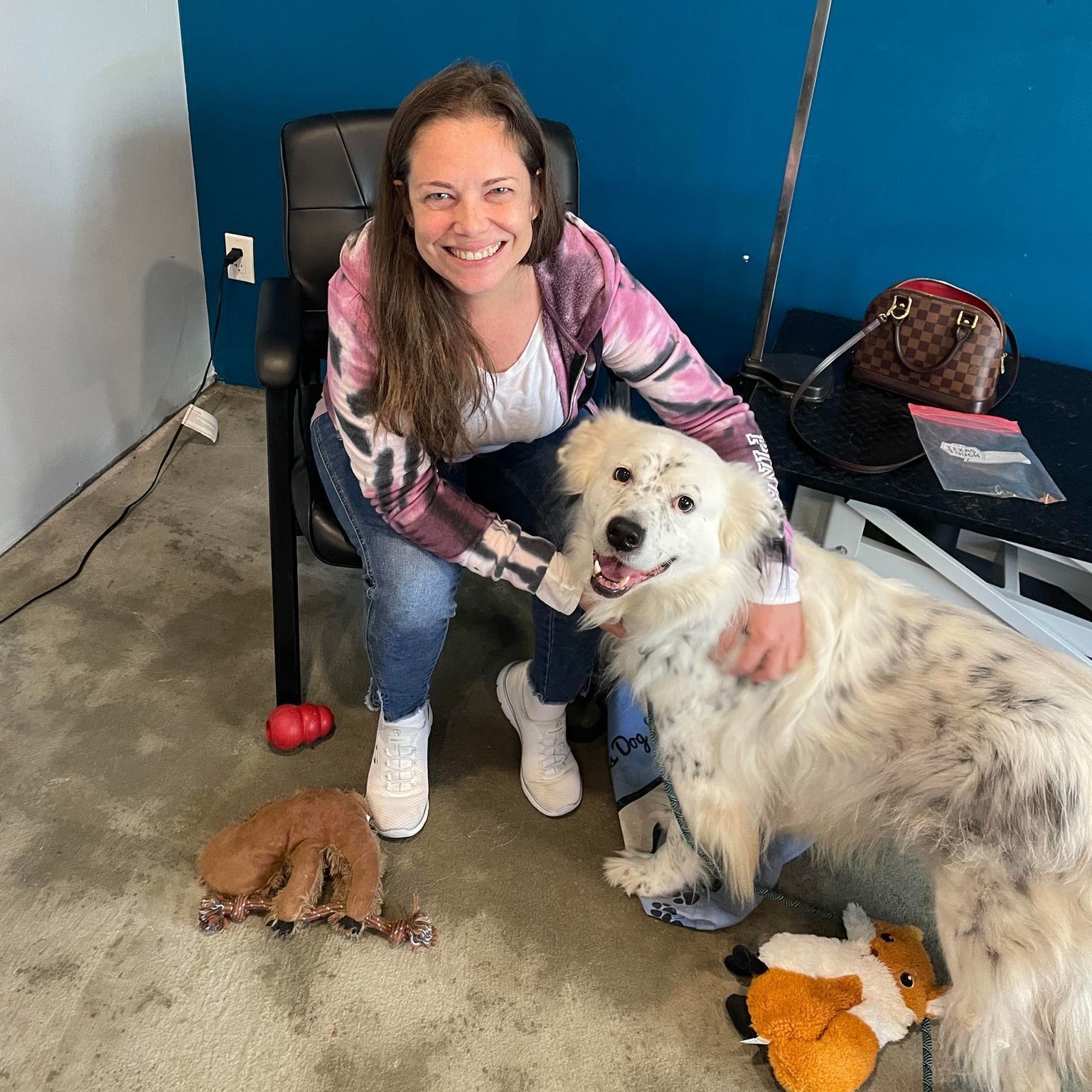 Enlarge Dottie, a Adoptable mixed breed in Houston, TX image 1/6