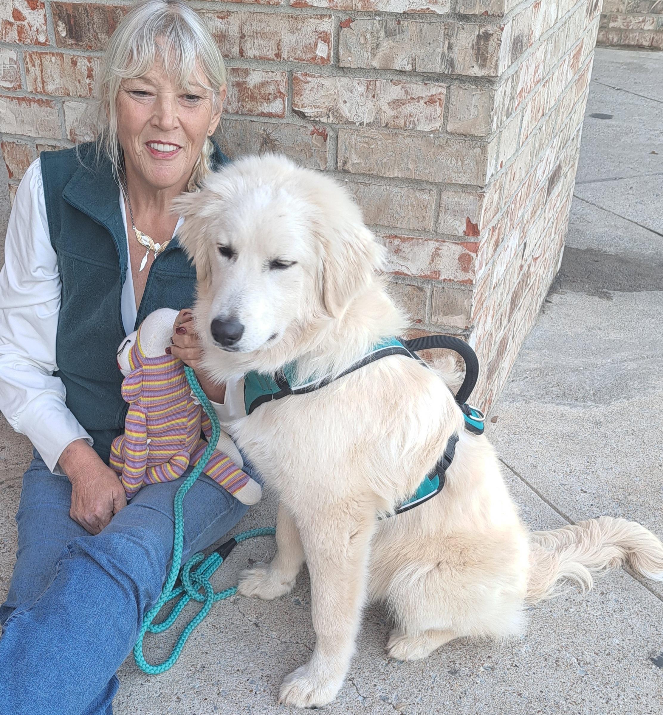 Enlarge Taz, a ADOPTABLE mixed breed in Burleson, TX image 3/3