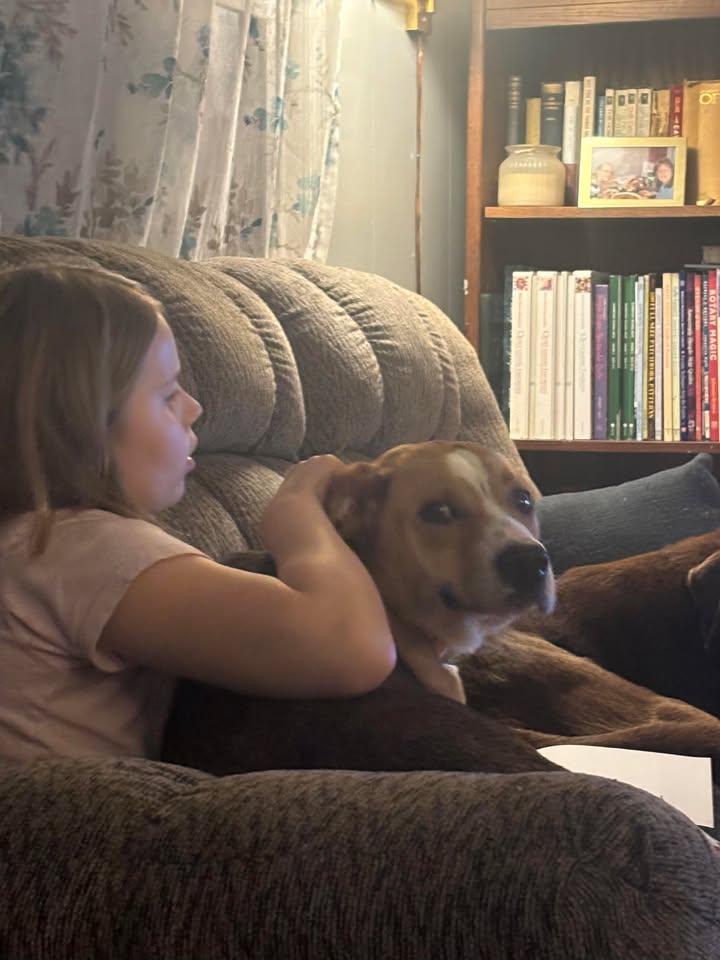 Delilah, a ADOPTABLE Mixed Breed in Pearisburg, VA image 2/2