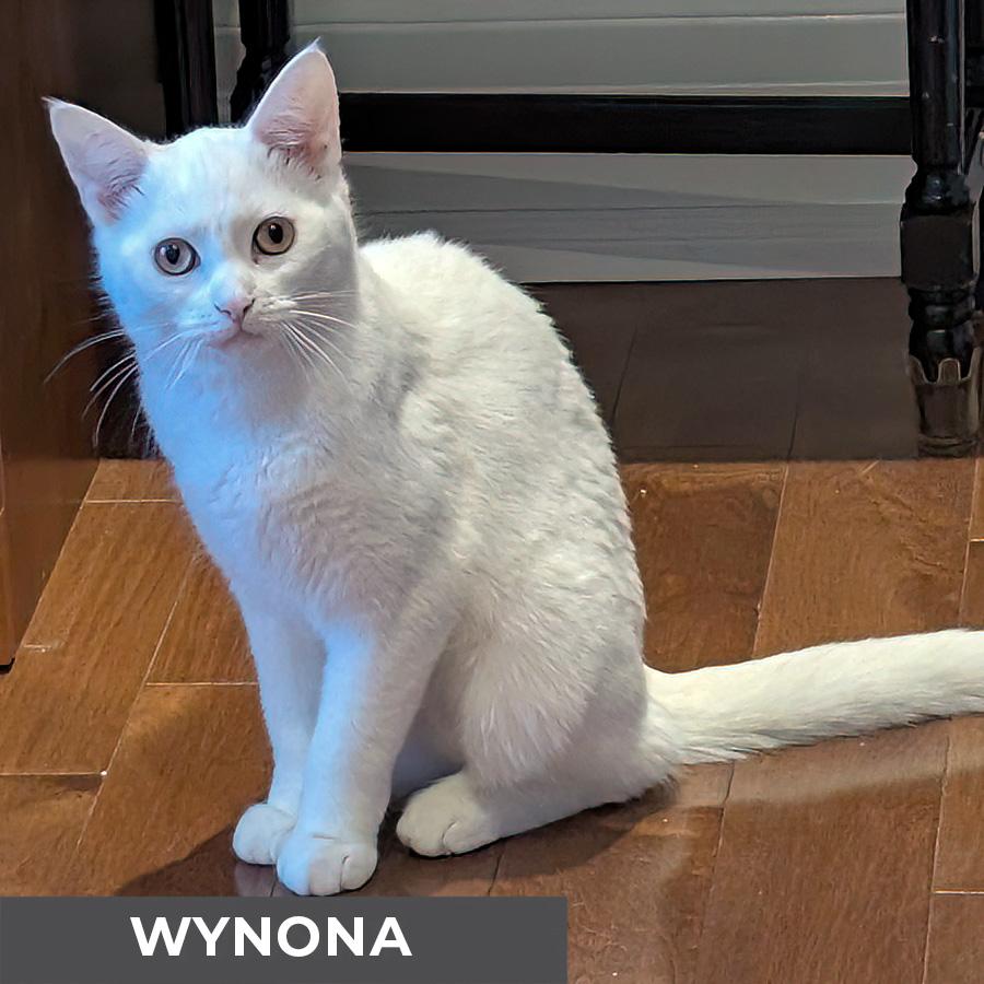 Wynona