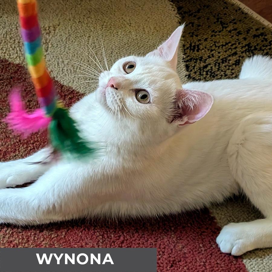 Wynona