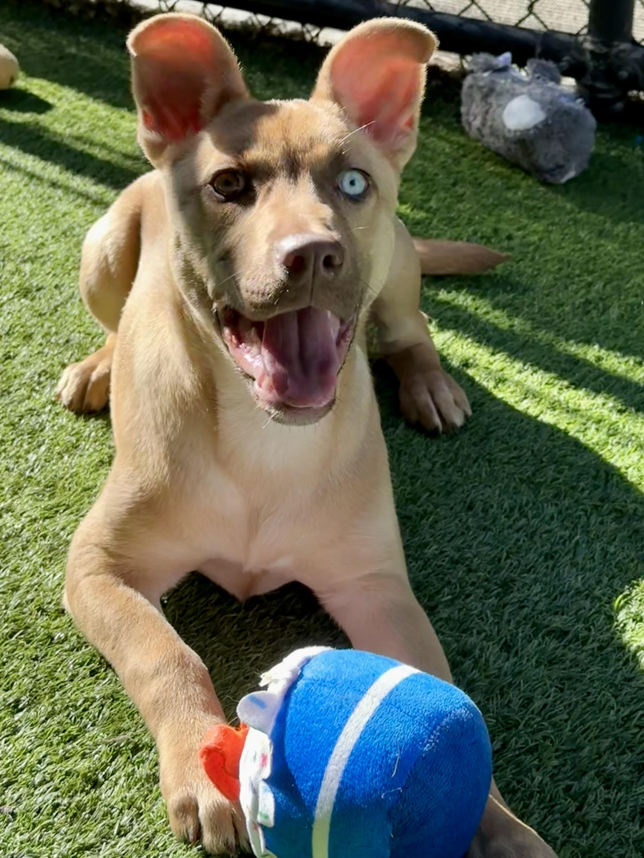 Riley — thumbnail 2